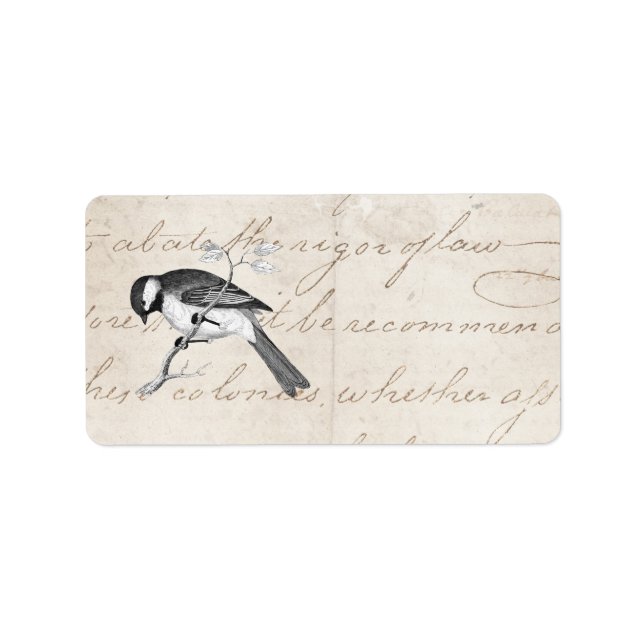 Vintage Song Bird Illustration - 1800's Birds Text Label (Front)