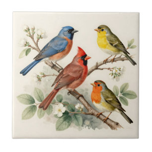 Vintage Songbird Blossom Branch Illustration Ceramic Tile
