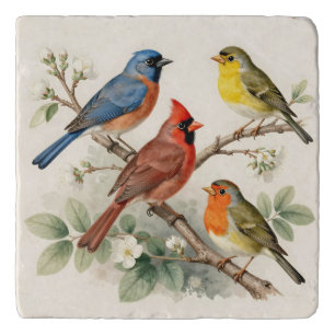 Vintage Songbird Blossom Branch Illustration Trivet