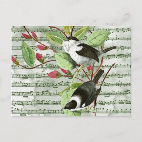 Vintage Songbirds on Sheet Music Postcard