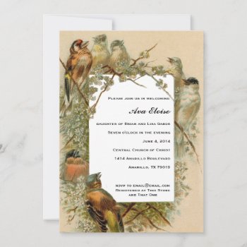 Vintage Songbirds Photo Frame Baby Shower Invite by RiverJude at Zazzle
