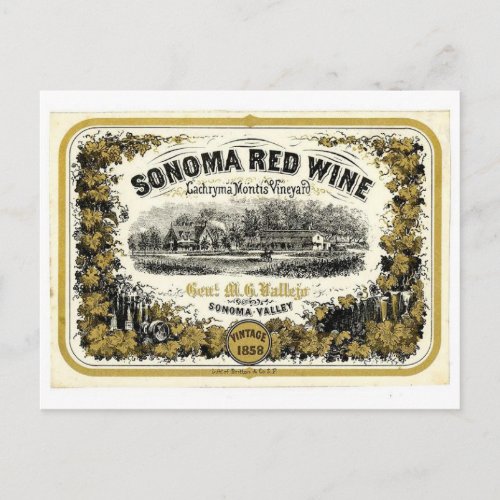 Vintage Sonoma Valley Red Wine Label Postcard