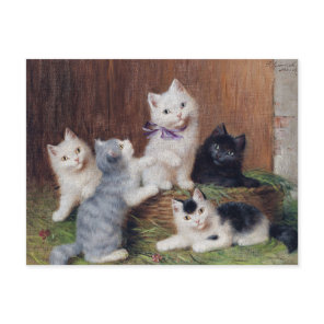 Vintage Sophie Sperlich Kittens  Postcard
