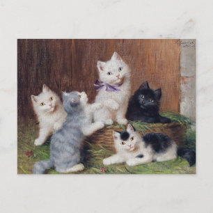Vintage Sophie Sperlich Kittens Postcard