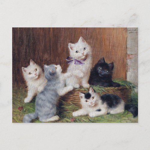 Vintage Sophie Sperlich Kittens  Postcard