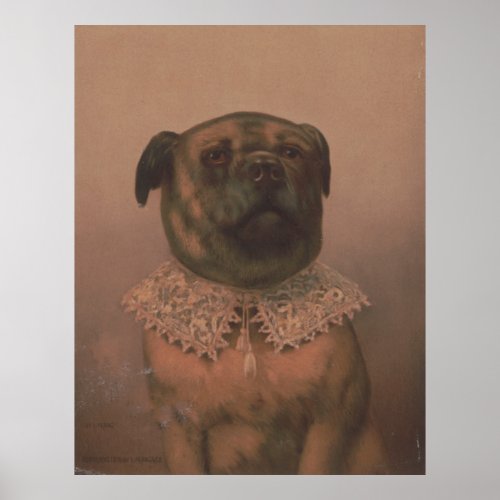 Vintage Sophisticated Dog Illustration 1878 Poster