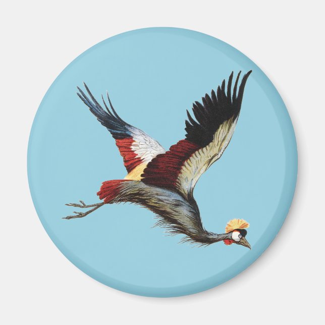 Vintage South African Crowned Crane Flying Art Magnet (Front)