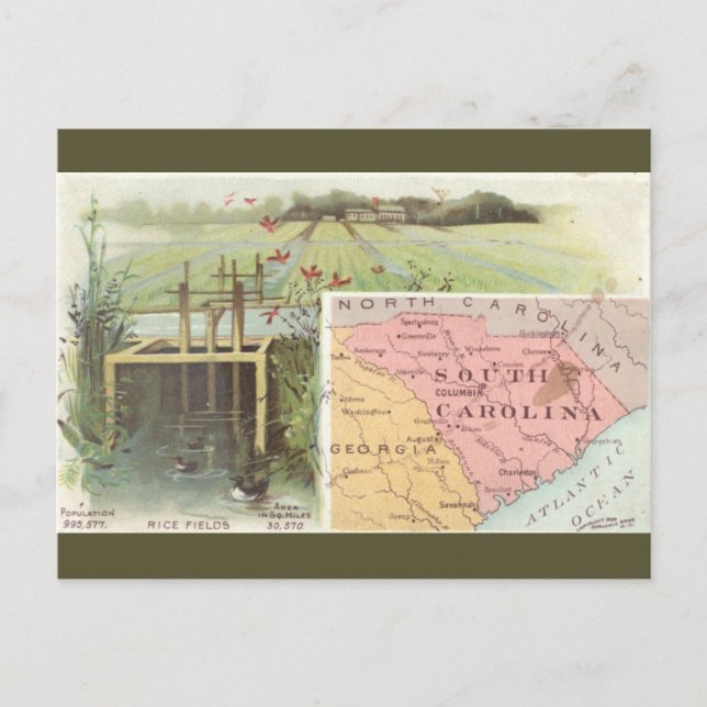 Vintage South Carolina Map Postcard (Front)