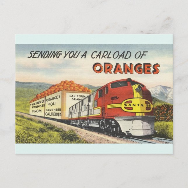 Vintage Southern California Oranges Postcard (Front)