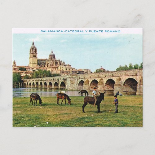 Vintage Spain Salamanca Cathedral Postcard