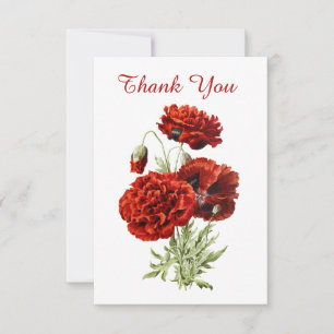 Vintage Spanish poppy thank you greeting card