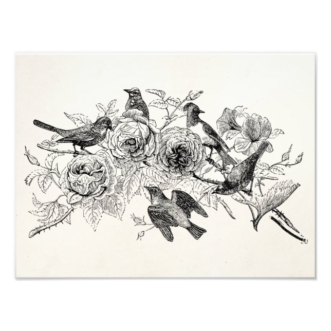 Vintage Sparrow Birds Personalized Sparrows Bird Photo Print (Front)