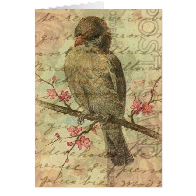 Vintage Sparrow Cards (Front)