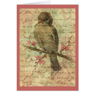 Vintage Sparrow Cards