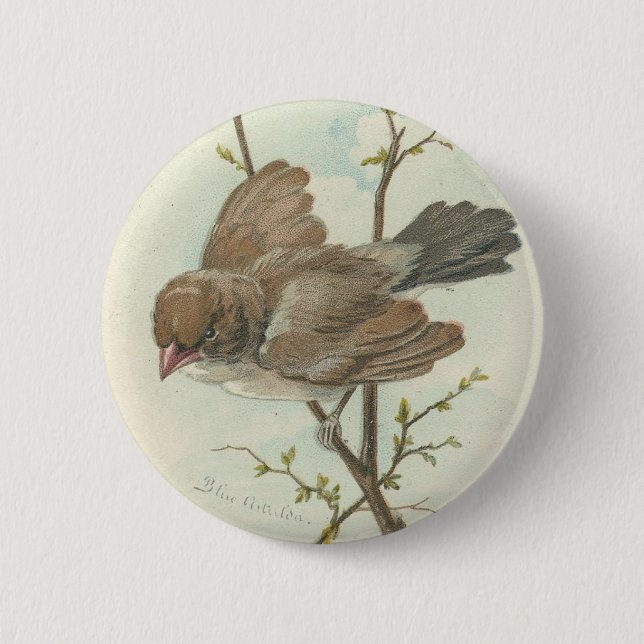 Vintage Sparrow Pinback Button (Front)