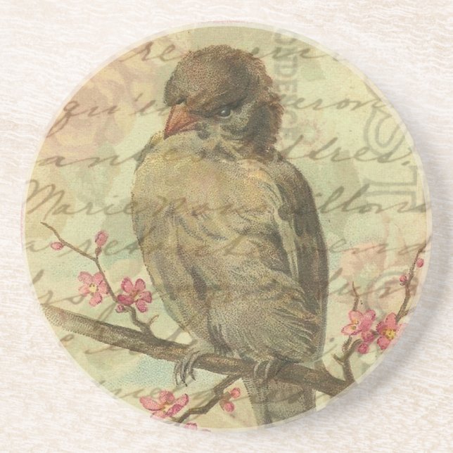 Vintage Sparrow Sandstone Coaster (Front)