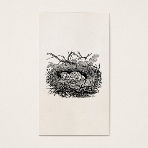 Vintage Speckled Eggs Bird Nest Personalized Birds Business Card