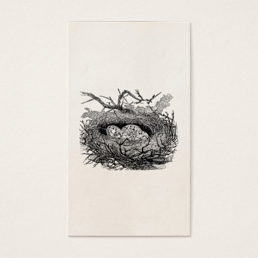 Customizable Vintage Speckled Eggs Bird Nest Personalized Birds Business Card
