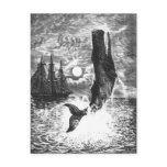 Vintage Sperm Whale Breaching, Marine Life Animals Postcard