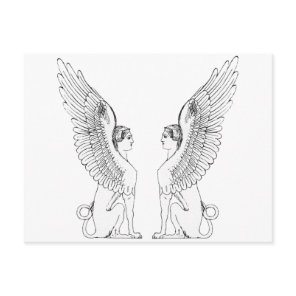 Vintage Sphinx illustration Postcard