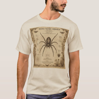 Vintage Spider Anatomy T-Shirt