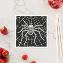 Vintage spider spinning  web