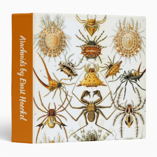 Vintage Spiders or Arachnids by Ernst Haeckel 3 Ring Binder