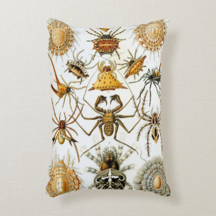 Vintage Spiders or Arachnids by Ernst Haeckel Accent Pillow