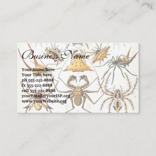 Vintage Spiders or Arachnids by Ernst Haeckel Business Card