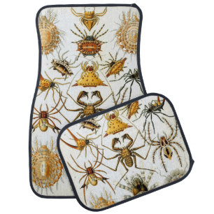 Vintage Spiders or Arachnids by Ernst Haeckel Car Floor Mat