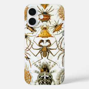 Vintage Spiders or Arachnids by Ernst Haeckel iPhone 16 Case
