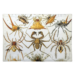 Vintage Spiders or Arachnids by Ernst Haeckel Cloth Placemat