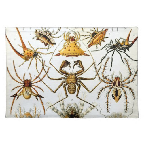 Vintage Spiders or Arachnids by Ernst Haeckel Cloth Placemat