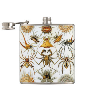 Vintage Spiders or Arachnids by Ernst Haeckel Flask