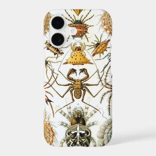 Vintage Spiders or Arachnids by Ernst Haeckel iPhone 17 Case