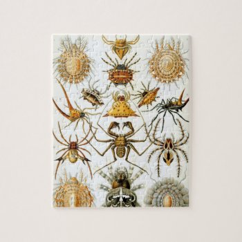 Vintage Spiders Or Arachnids By Ernst Haeckel Jigsaw Puzzle by Ernst_Haeckel_Art at Zazzle