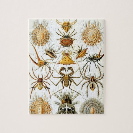 Vintage Spiders Or Arachnids By Ernst Haeckel Jigsaw Puzzle