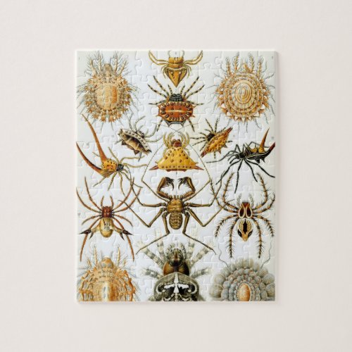 Vintage Spiders or Arachnids by Ernst Haeckel Jigsaw Puzzle