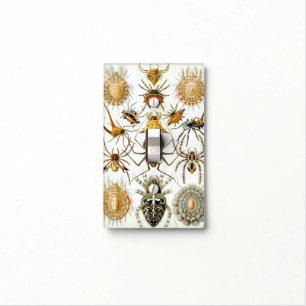 Vintage Spiders or Arachnids by Ernst Haeckel Light Switch Cover