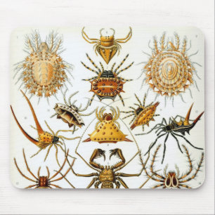 Vintage Spiders or Arachnids by Ernst Haeckel Mouse Pad