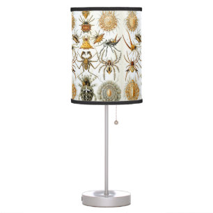 Vintage Spiders or Arachnids by Ernst Haeckel Table Lamp
