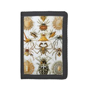 Vintage Spiders or Arachnids by Ernst Haeckel Tri-fold Wallet