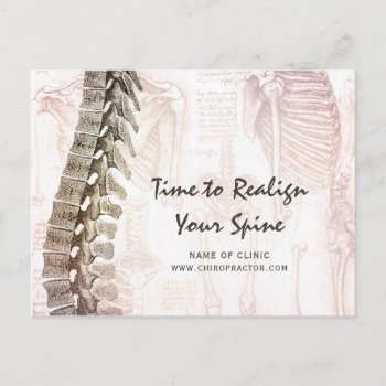 Vintage Spine Chiropractor Appointment Reminder Postcard by PhotographyTKDesigns at Zazzle