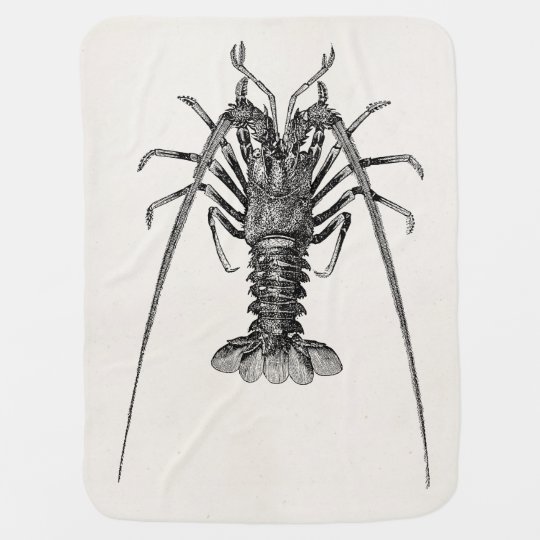 vintage spiny lobster personalized