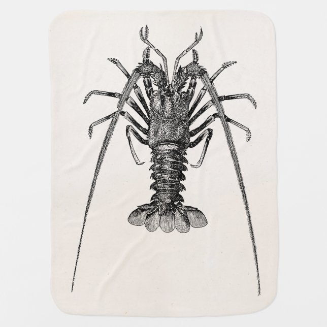 Vintage Spiny Lobster Personalized Template Baby Blanket (Front)