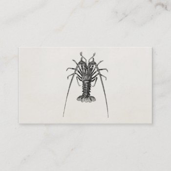 Vintage Spiny Lobster Personalized Template Business Card by SilverSpiral at Zazzle