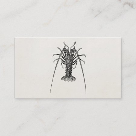 Vintage Spiny Lobster Personalized Template Business Card