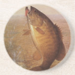 Vintage Sports Fishing, Largemouth Brown Bass Fish Drink Coaster