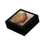 Vintage Sports Fishing, Largemouth Brown Bass Fish Keepsake Box