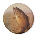 Vintage Sports Fishing, Largemouth Brown Bass Fish Magnet